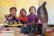 把毒蛇当嫁妆——巴基斯坦蛇人部落