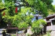 【5.27一日游】寻访宁波香格里拉，最美风车公路，探菩提....